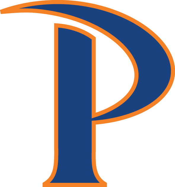 Pepperdine Waves 2011-Pres Primary Logo iron on transfers for clothing
